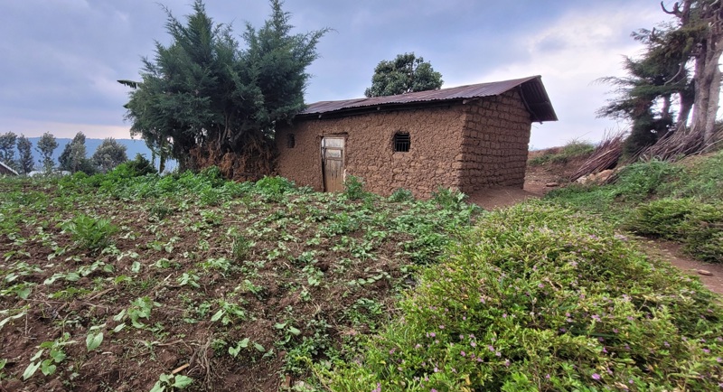 Josiane ræktar grænmeti í garðinum.