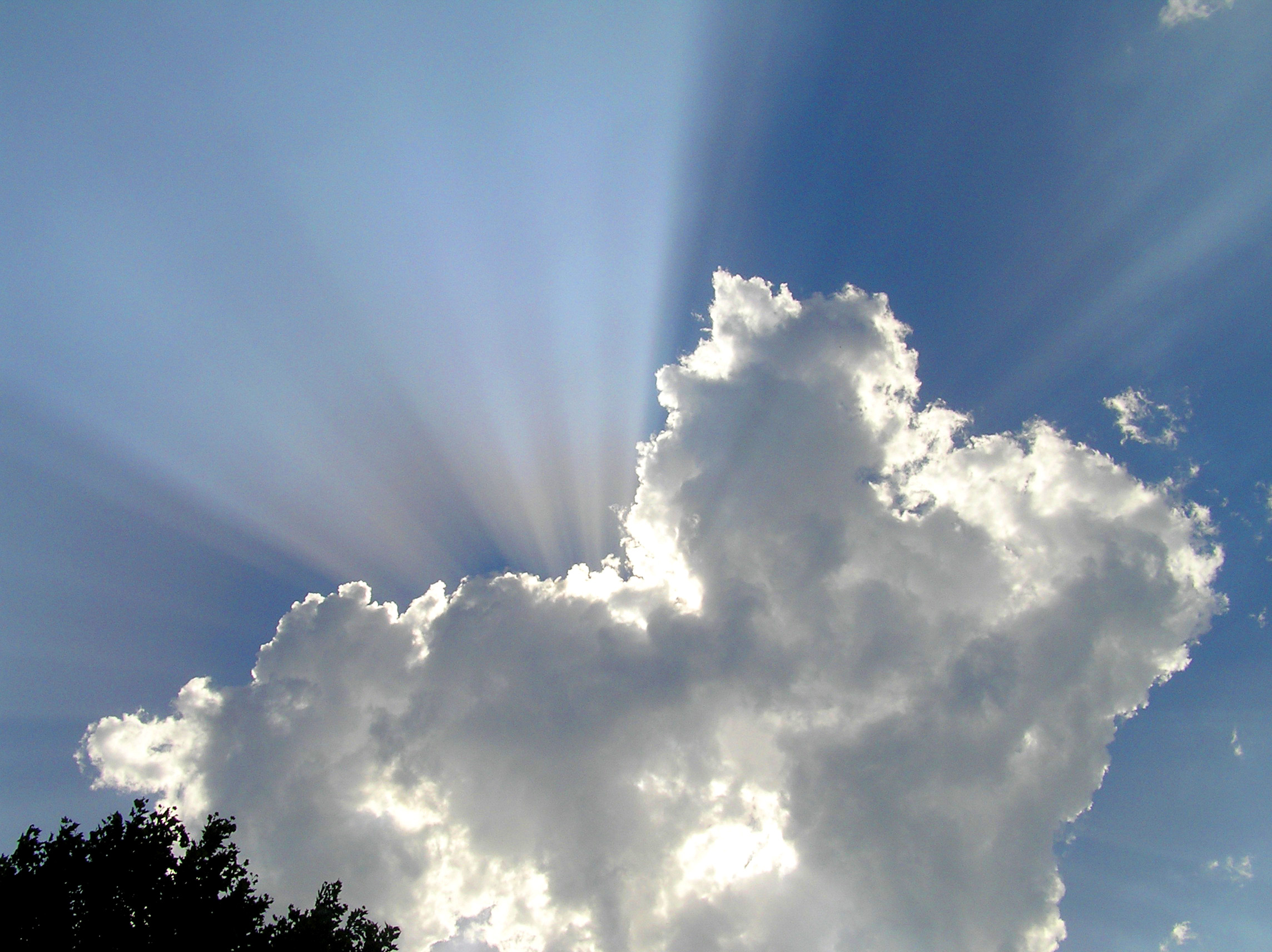 Umbætur hjá SOS í kjölfar rannsóknarskýrslu